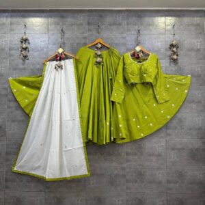 Lehenga Chaniya Choli