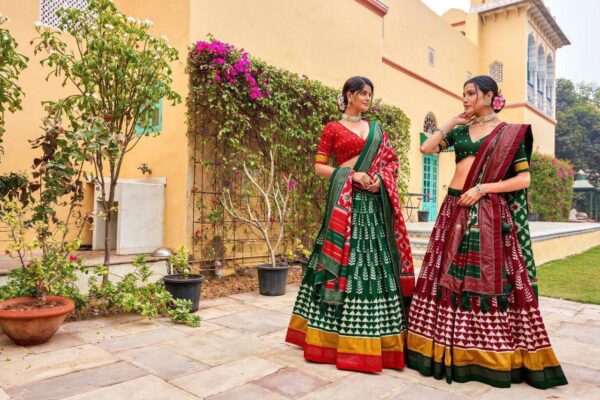 Lehenga Choli Patola - Image 2