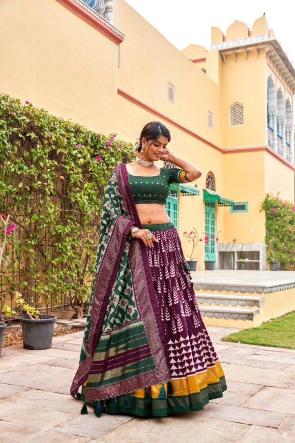 Lehenga Choli Patola - Image 3