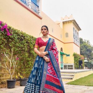 Lehenga Choli Patola