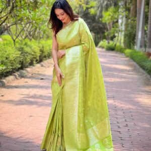 Designer Banarasi Silk Sarees