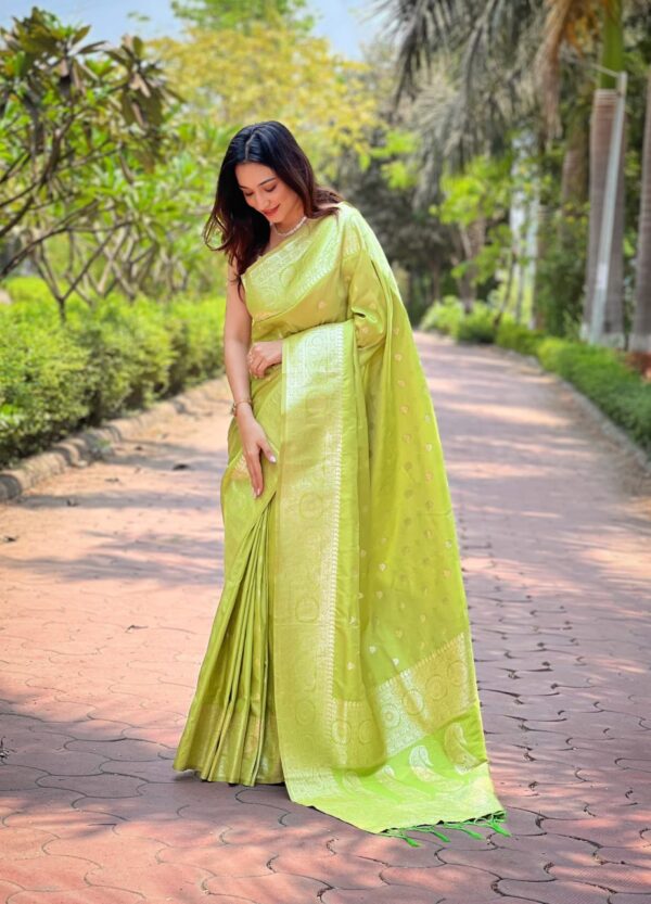 Designer Banarasi Silk Sarees