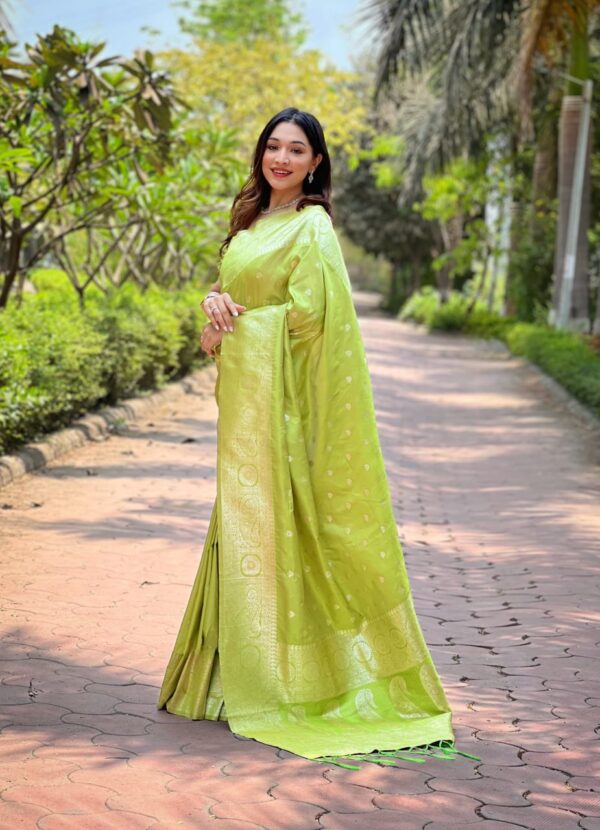 Designer Banarasi Silk Sarees - Image 7