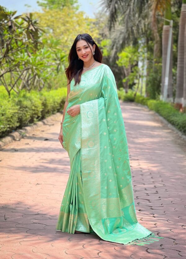 Designer Banarasi Silk Sarees - Image 8